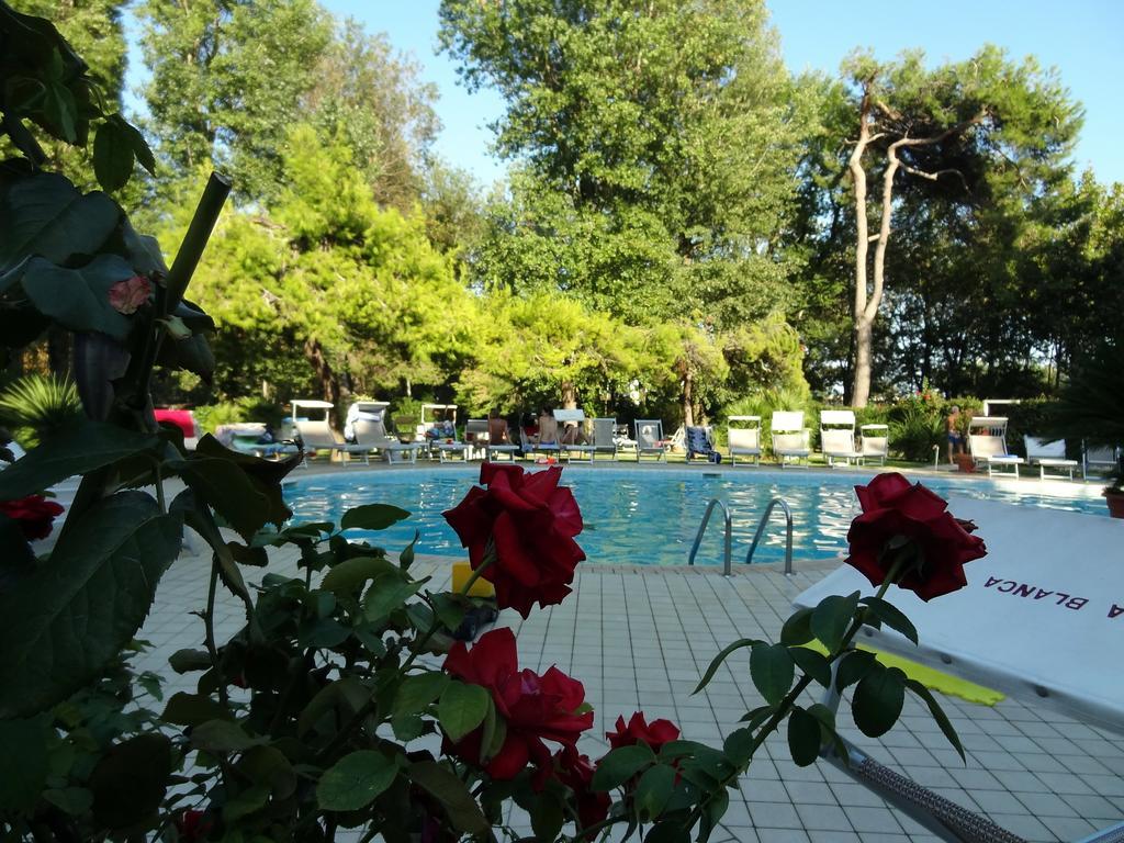Hotel Playa Blanca 3*